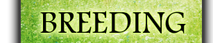 Breeding